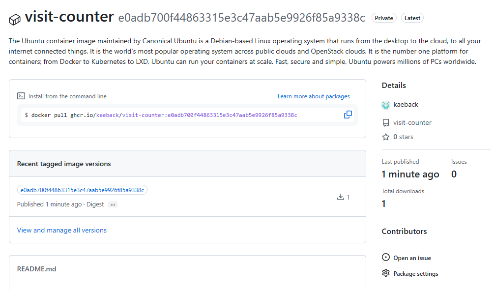 GitHub Packages 에 올라간 이미지 — Private 배지를 확인한다