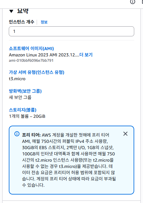 요약 패널에서 설정을 확인하고 [인스턴스 시작]